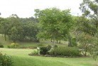 Brookfield VICresidential-landscaping-40.jpg; ?>